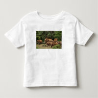 Kenya: Tsavo East National Park, herd African