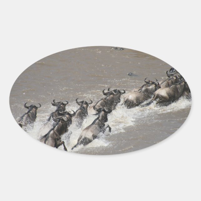 kenya wildebeest run oval sticker (Front)