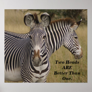 KENYA Zebras Two Heads are Better than One poster