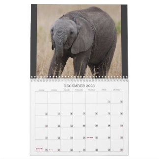 Kenya's Big 5 Calendar