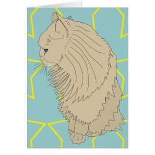 Kenzo le chat royal