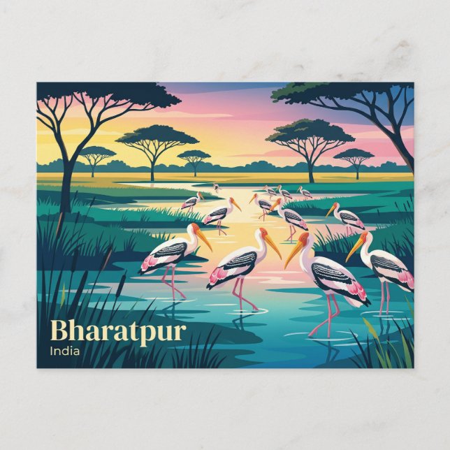 Keoladeo National Park India Postcard (Front)