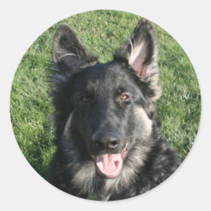 Kepler Classic Round Sticker