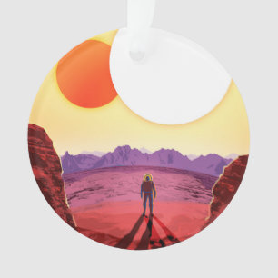 Kepler Space Voyage Destination Planète Aventure