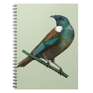 Kereru Wood pigeon Notebook