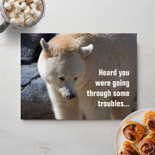 Kermode Bear•Troubles Postcard