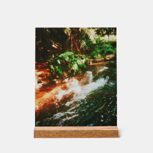 Kerosene Creek, Rotorua, New Zealand Acrylic Sign