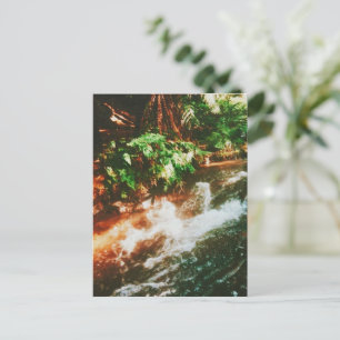 Kerosene Creek, Rotorua, New Zealand  Postcard