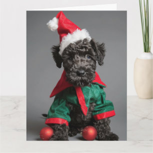 Kerry Blue Terrier Elf Puppy Christmas Card 