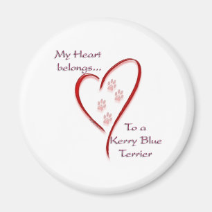 Kerry Blue Terrier Heart Belongs Magnet