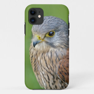 Kes iPhone 5 Case-Mate Case