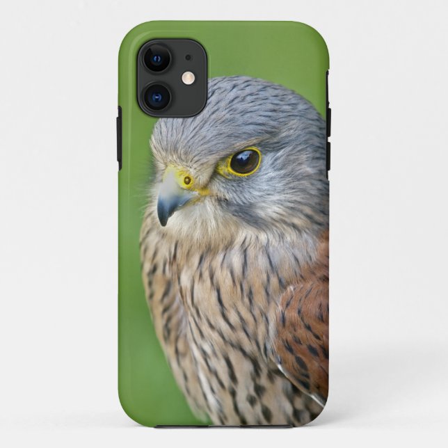 Kes iPhone 5 Case-Mate Case (Back)