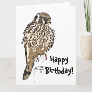 Kestral Bird Wildlife Birthday Greeting Card