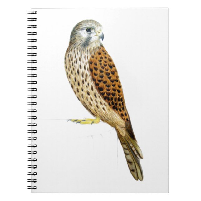 Kestrel 2011 notebook (Front)
