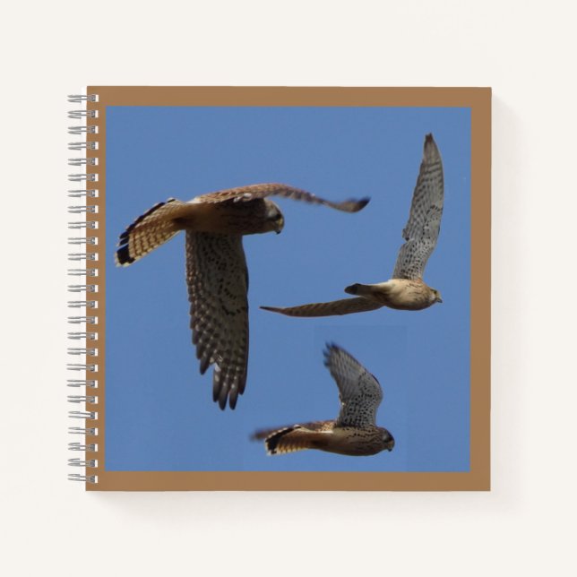 Kestrel Birds Photography Cust. Text Notebook (Front)