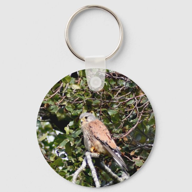 Kestrel Button Key Ring (Front)