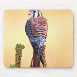 Kestrel, Falco sparverius, Native to US & Canada Mouse Pad