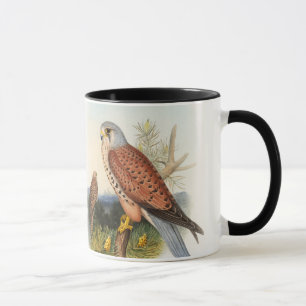 Kestrel Falcon John Gould Birds of Great Britain Mug