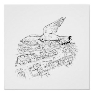 Kestrel over city (part 2 of a set) poster