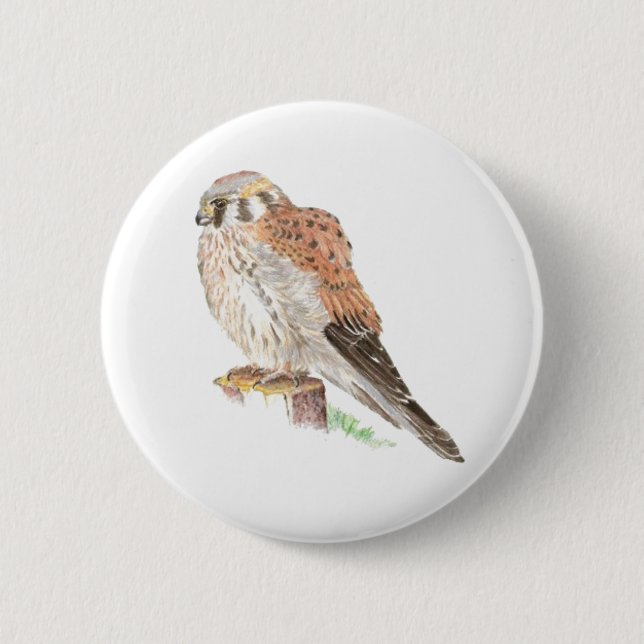 Kestrel Sparrow Hawk, Watercolor Bird 2 Inch Round Button (Front)
