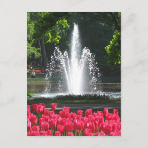 Keukenhof garden - Holland postcard