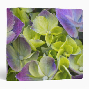 Keukenhof Garden Hydrangea Binder