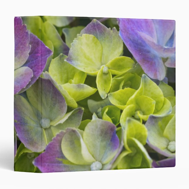 Keukenhof Garden Hydrangea Binder (Front/Spine)