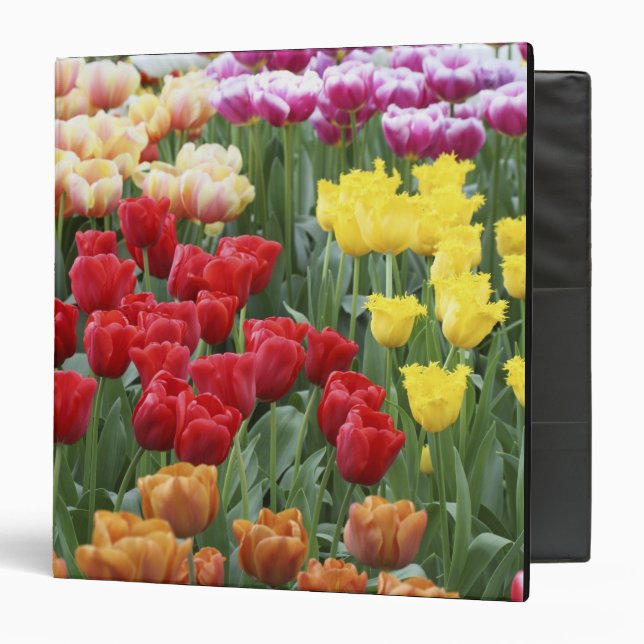 Keukenhof Gardens, Holland, specializes in 2 Binder (Front/Inside)