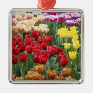Keukenhof Gardens, Holland, specializes in 2 Metal Ornament