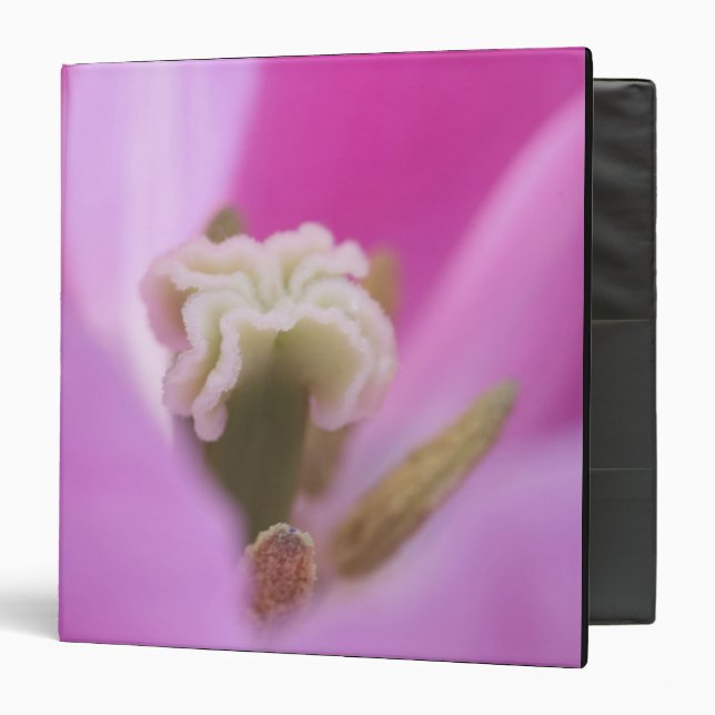 Keukenhof Gardens, Holland, specializes in 3 Binder (Front/Inside)