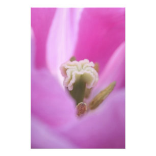 Keukenhof Gardens, Holland, specializes in 3 Photo Print