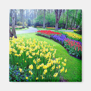 KEUKENHOF GARDENS, LISSE HOLLAND MAGNET