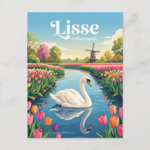 Keukenhof Netherlands Postcard