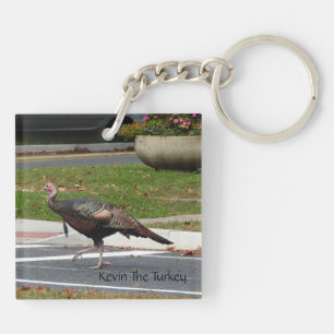 Kevin The Turkey - Old Wethersfield, CT (2 photos)