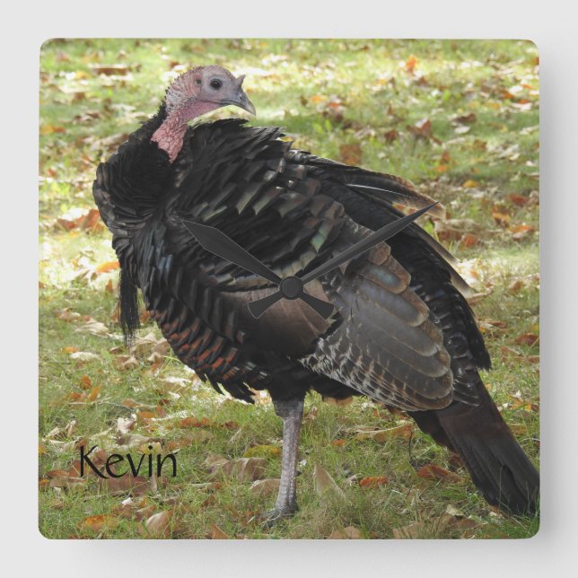 Kevin The Turkey - Old Wethersfield , CT Square Wall Clock (Front)