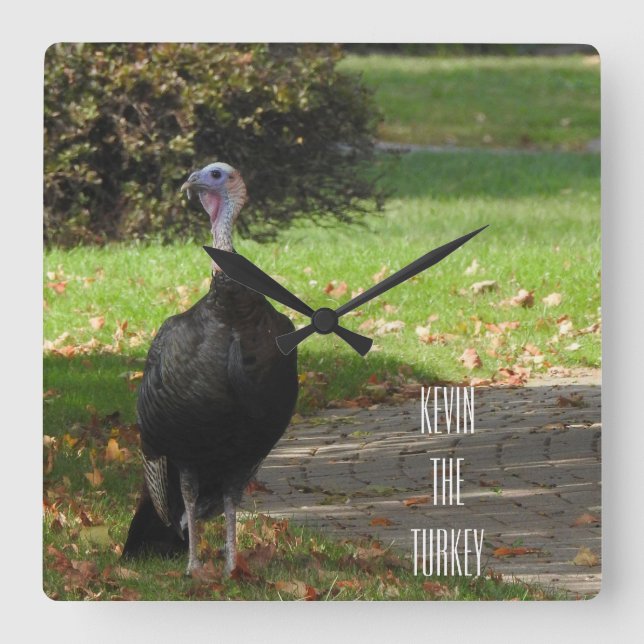 Kevin The Turkey - Old Wethersfield , CT Square Wall Clock (Front)