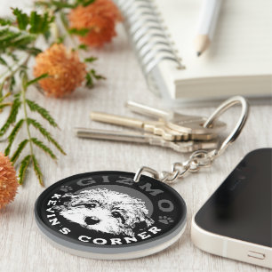 Kevin's Corner Mascot Gizmo Maltipoo Chiot