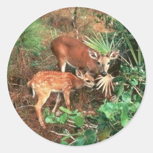 Key Deer Classic Round Sticker (Front)