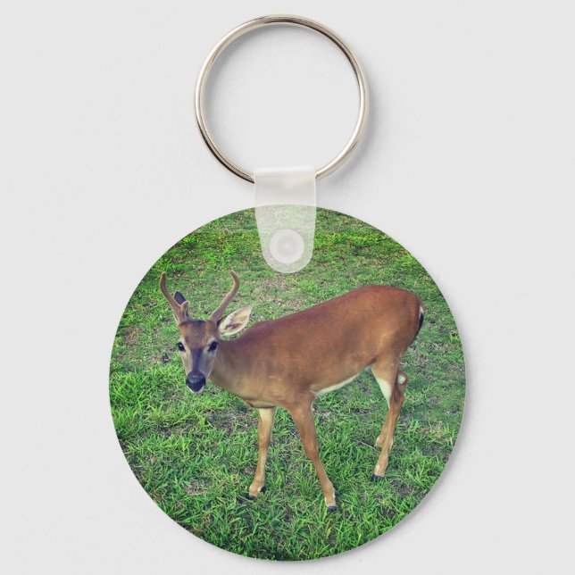 Key Deer Keychain (Front)