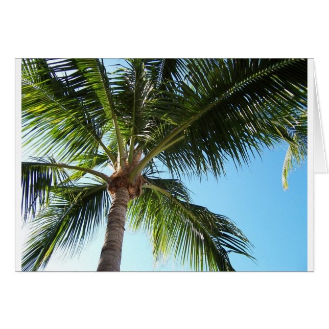 Key West (Front Horizontal)