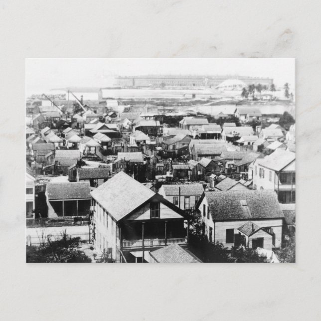 Key West 1895 Historic Photo Postcard (Front)