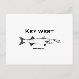 Key West Barracuda Postcard