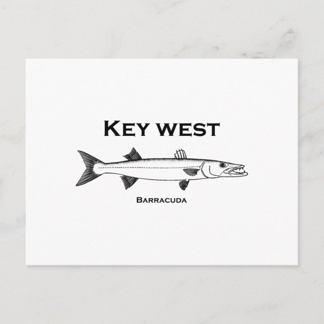 Key West Barracuda Postcard (Front)