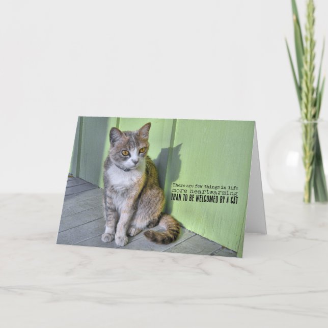 KEY WEST CAT Greeting Card (Front)