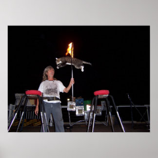 Key West Cat Man Poster