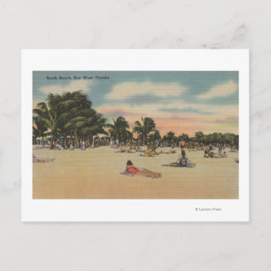 Key West, FL - View of South Beath w/ Sunbathers Postcard