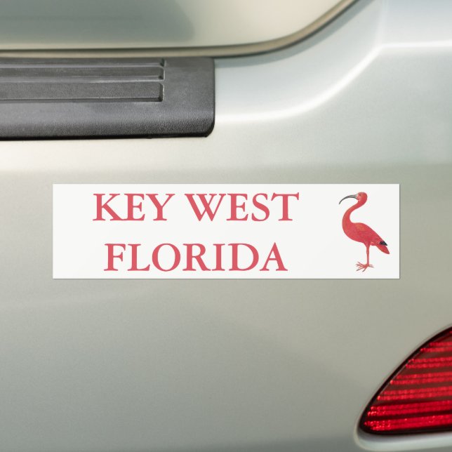 KEY WEST FLORIDA | Flamingo Bumper Sticker (On Car)