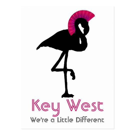 Key West Florida Flamingo Punk Rock Postcard