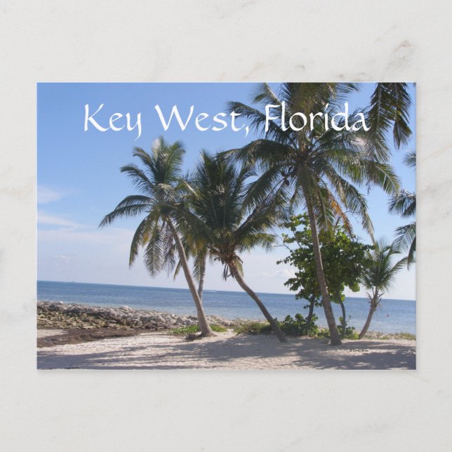 Key West, Florida Postcard (Front)