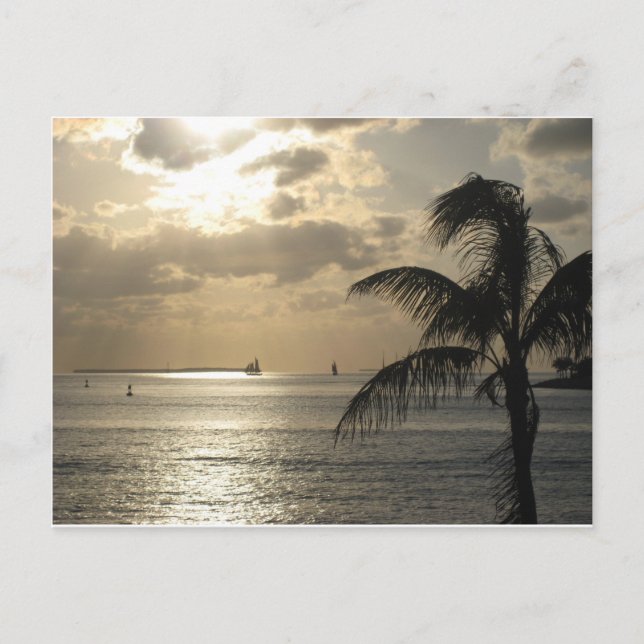 Key West, Florida Postcard (Front)